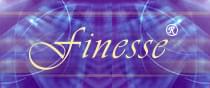 Finesse ERP logo