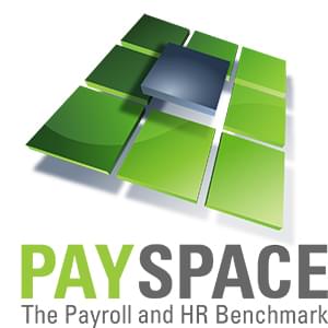 PaySpace logo