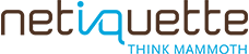 Netiquette Payroll System logo