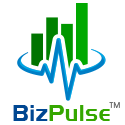 DayTimed by BizPulse logo