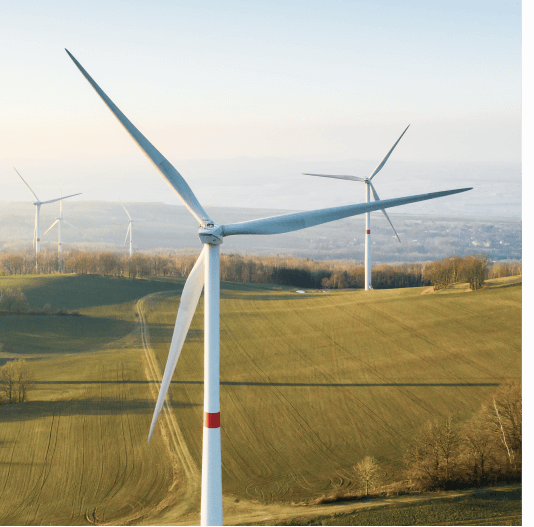 illustrations comparison