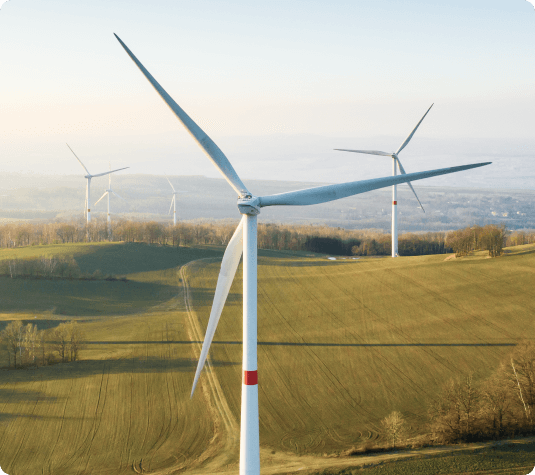 illustrations reviews