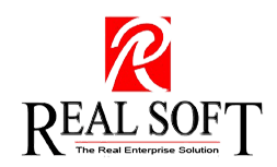 RealSoft ERP logo