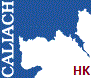 Caliach Vision ERP logo