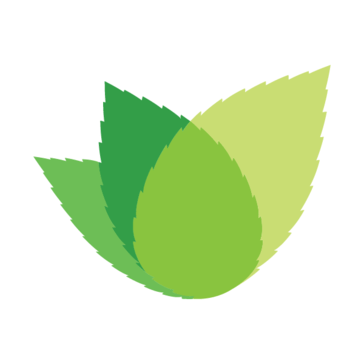 Actionmint logo